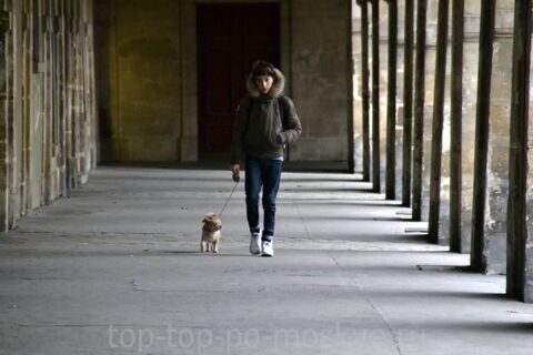 Place des Vosges Площадь Вогезов_8691